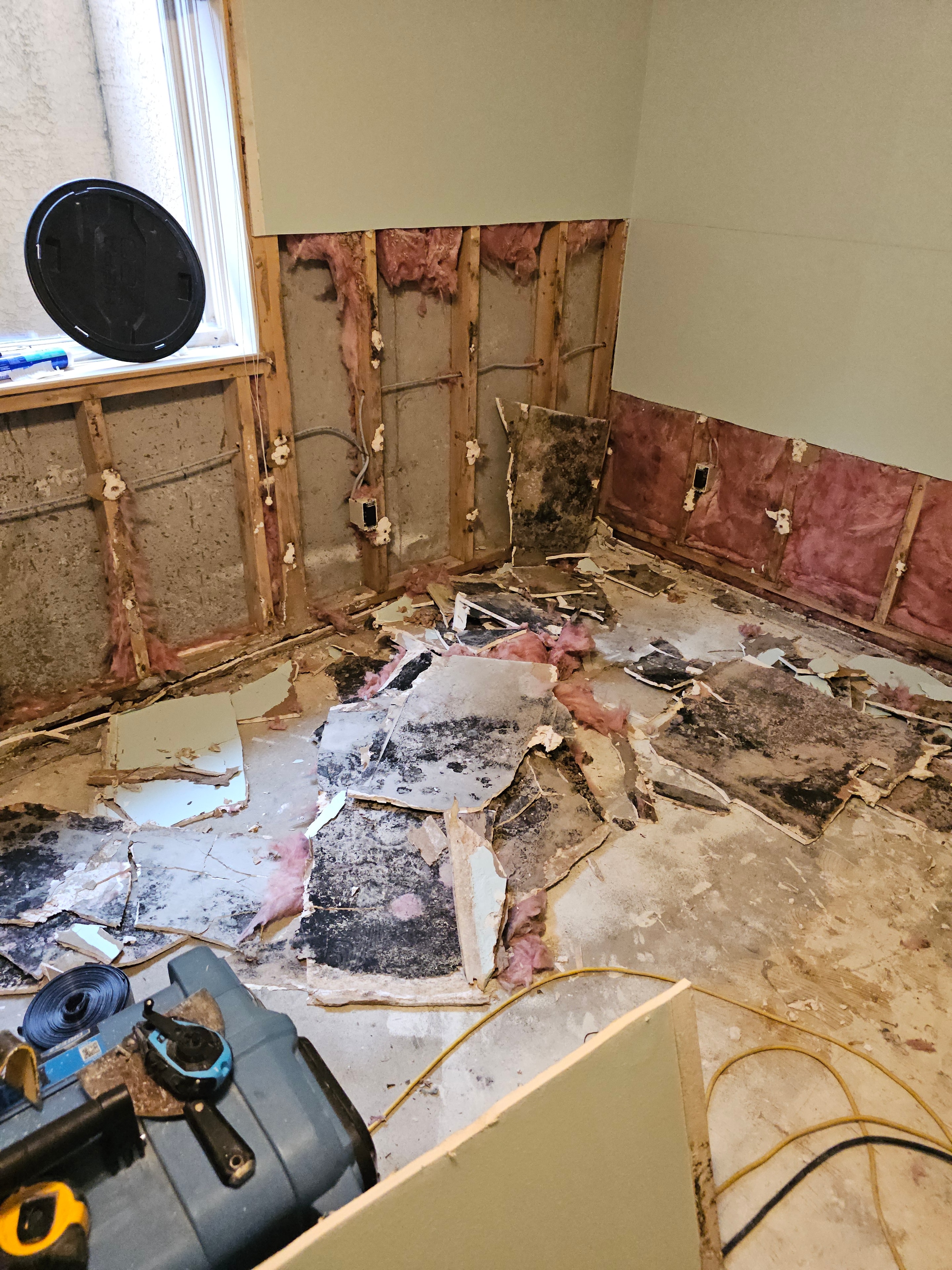Mold damage treatment Colorado Springs — remediation in progress