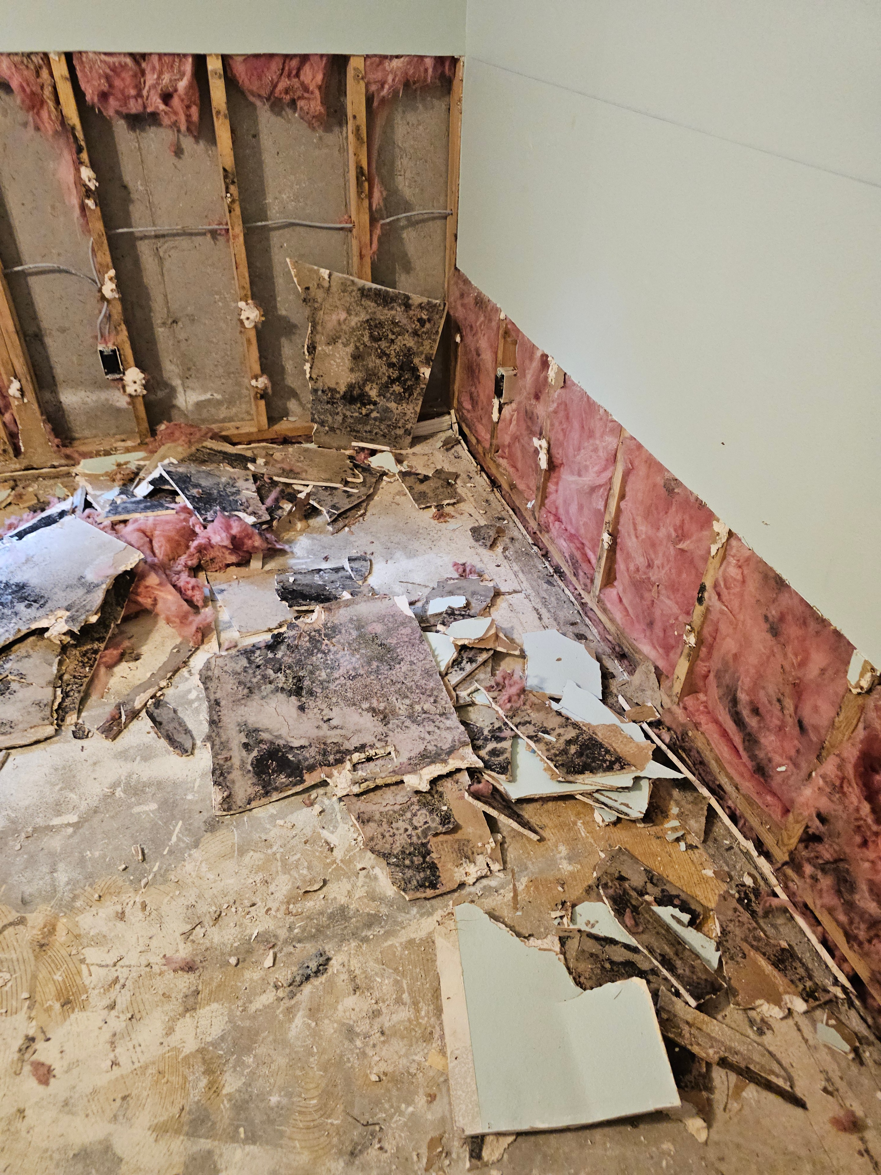 Water and mold damage remediation Colorado Springs — before treatment