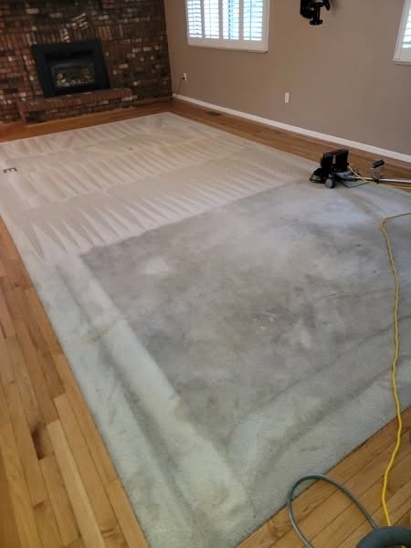 Before and after carpet cleaning — dramatic difference visible in living room