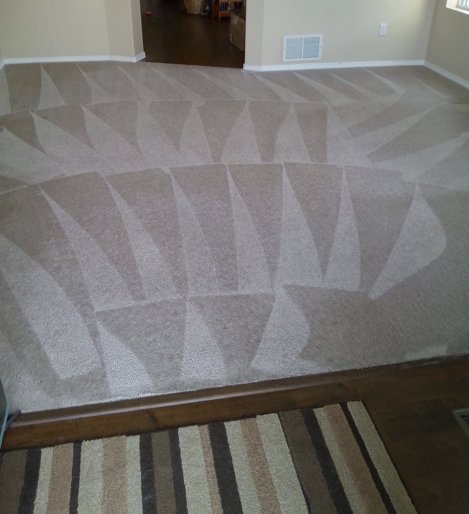 Carpet Cleaning in Colorado Springs: The Complete Guide